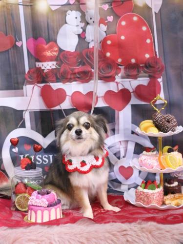 20250201あもちゃん